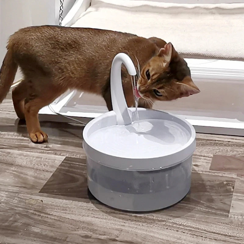 2L Cat Water Fountain LED Blue Light USB Powered Automatic Water Dispenser Cat Feeder Drink Filter For Cats Drinking Fountain