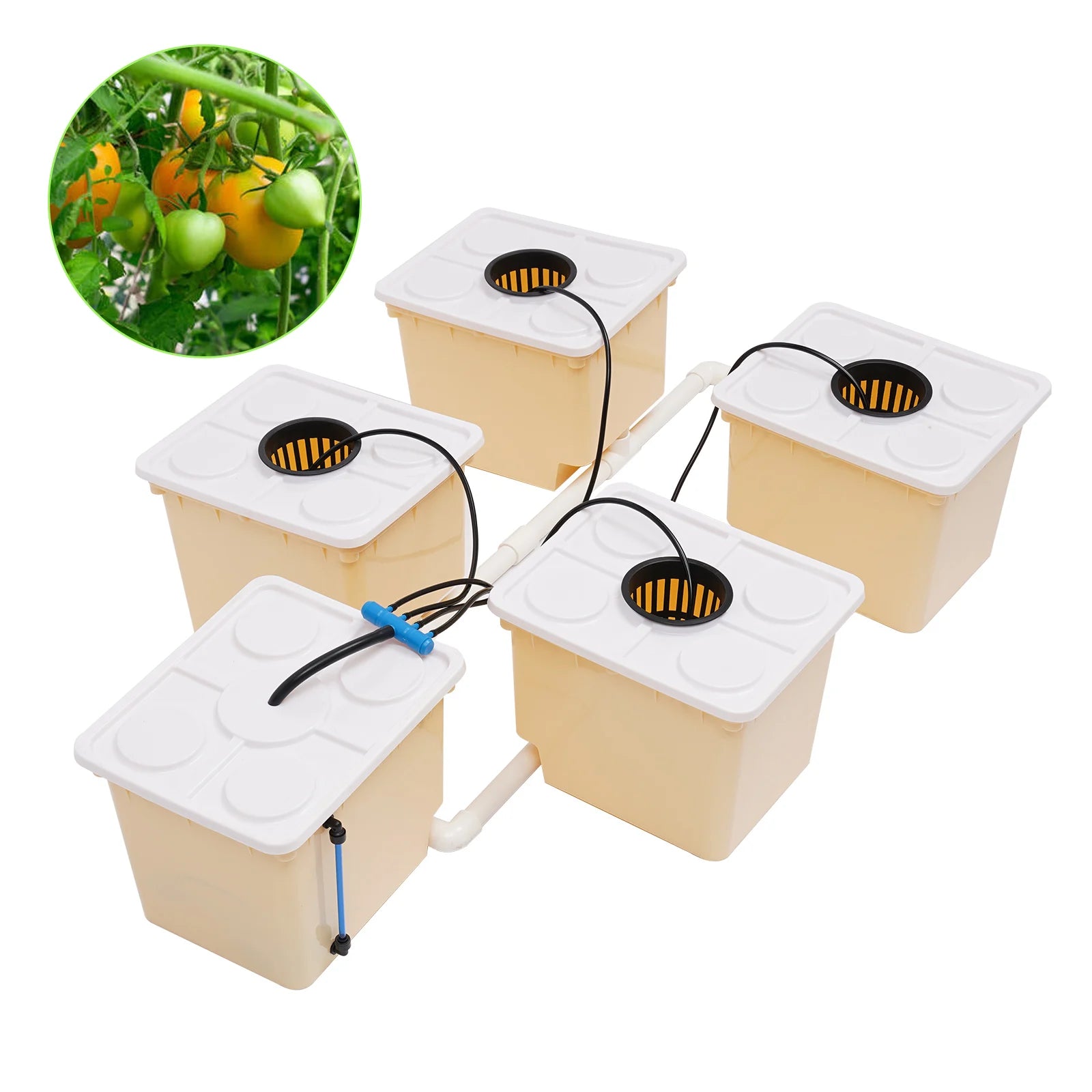 11L Vegetable Aquaponic Kit Hydroponics Dutch Bucket Drip Growing System Complete Plants